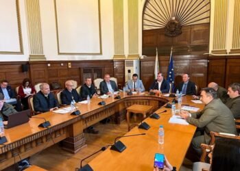 Министър Гечев: Дървата за огрев не трябва да са политическа стока