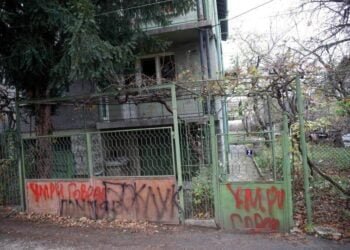 Протест срещу насилието над кучето Мечо се проведе в София