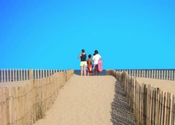 Жегите във Франция взеха над 200 жертви