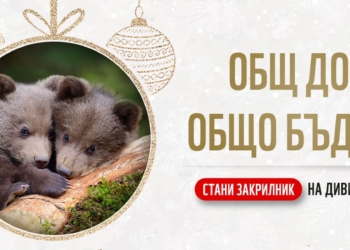 WWF възстановява горски местообитания в България