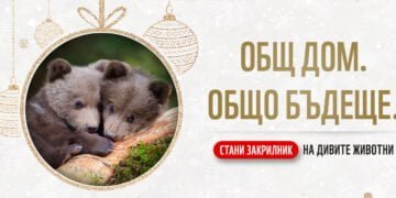 WWF възстановява горски местообитания в България