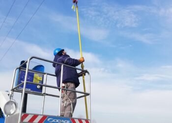 ЕРП Север подкрепя проект за опазване на червеногушата гъска