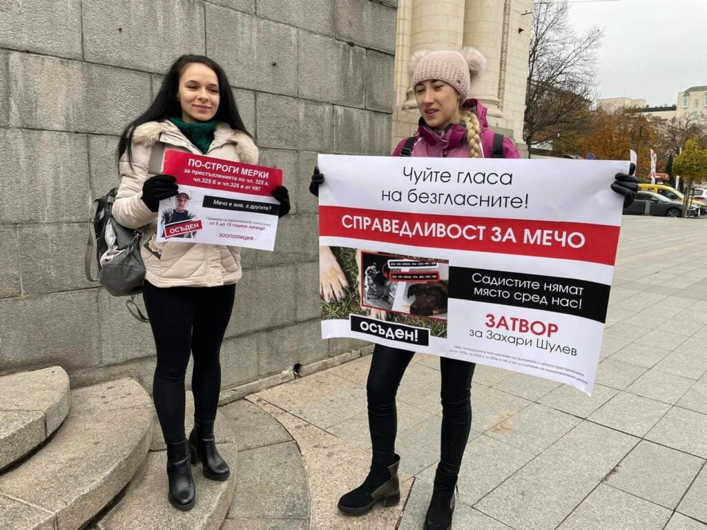 Как кучето Мечо се превърна в символ за хуманно отношение към животните