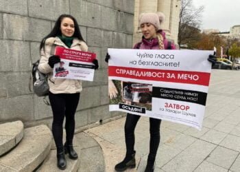 Как кучето Мечо се превърна в символ за хуманно отношение към животните