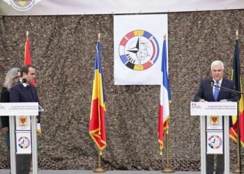 „Острието“ на НАТО в битка с дървеници, плъхове u бездомни кучета… в Румъния