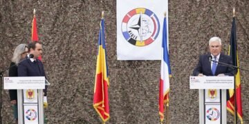 „Острието“ на НАТО в битка с дървеници, плъхове u бездомни кучета… в Румъния