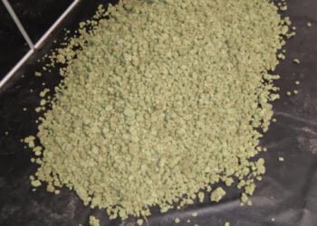 Четирима мъже са заловени с наркотици във Варна