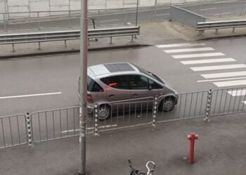 Виждам те КАТ-ВАРНА