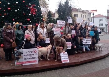 Варненци към институциите: Време е за ефективни присъди спрямо насилниците на животни!