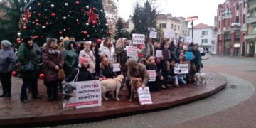 Варненци към институциите: Време е за ефективни присъди спрямо насилниците на животни!