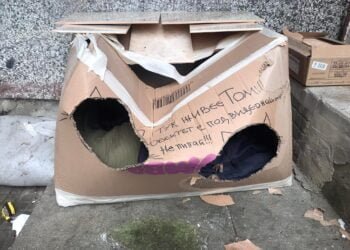 “Видеонаблюдението” не сработи, Томи отново остана без топло кътче