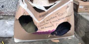 “Видеонаблюдението” не сработи, Томи отново остана без топло кътче