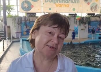 Треньорът на делфини Ивелина Жекова: Делфинотерапията е изключително полезна за хора с депресия