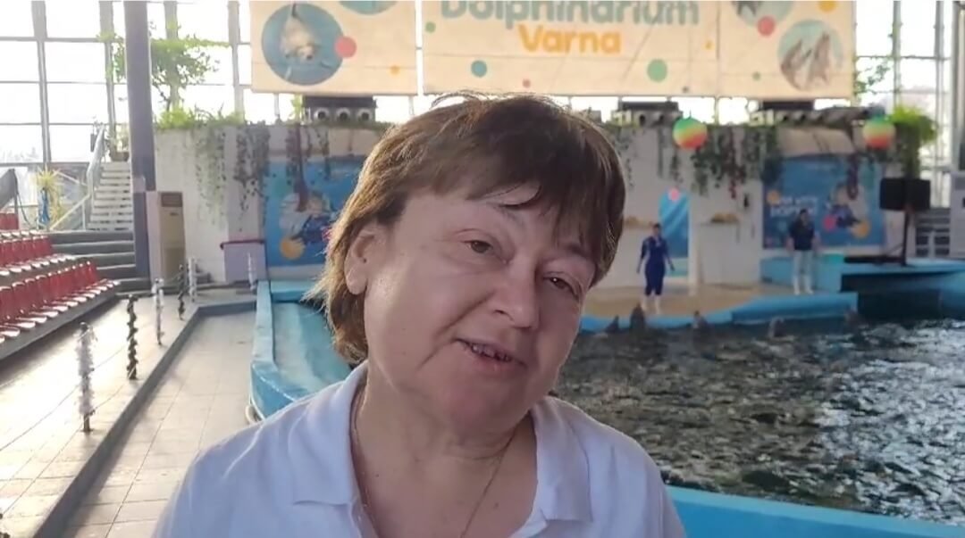 Треньорът на делфини Ивелина Жекова: Делфинотерапията е изключително полезна за хора с депресия