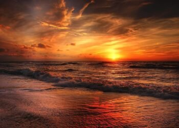 Труп, открит на плаж в Гърция, е на българка