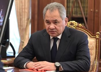 За Шойгу военният ресурс на Украйна "е почти изчерпан"