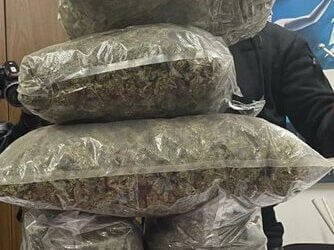 Съдът във Варна прати отново в ареста мъж задържан за отглеждане и разпространие на марихуана