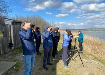 Наблюдение на розово фламинго ще се проведе днес на Атанасовското езеро