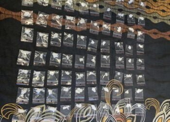 45-годишен варненец е заловен от полицията с 250 гр. кокаин (СНИМКИ)