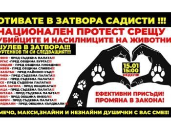 Варненци излизат на протест, за да кажат "Не на насилието над животни"