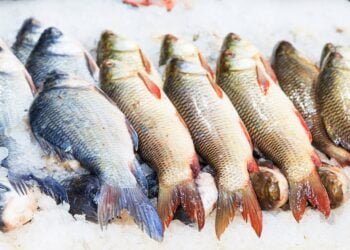 ИАРА и БАБХ със съвместни проверки за Никулден