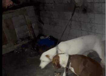 Тодор е на 39 години от Варна. Животът му поднася удари един след друг, още от дете. След смъртта на баба си, още непълнолетен Тодор се озовава в системата. Израства в институции, а след навършване на пълнолетие - остава сам. Няма родители от 14-годишен, а по лошо стечение на обстоятелствата се оказва на улицата.