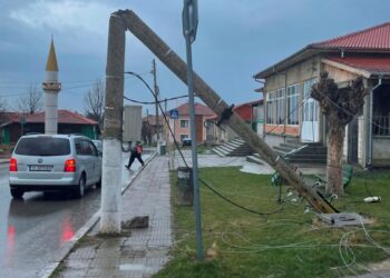 Изкоренено от силен вятър дърво счупи стълбове от мрежата на ЕРП Север