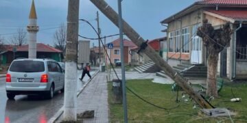 Изкоренено от силен вятър дърво счупи стълбове от мрежата на ЕРП Север