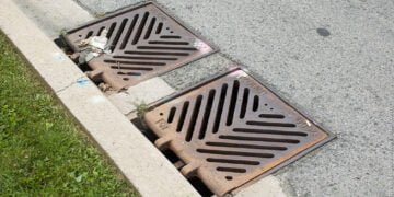 До края на март Община Варна извършва третиране срещу гризачи, ще се обработят близо 12 хиляди шахти