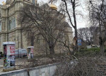 30 сигнала за паднали клони и дървета са подадени във Варна