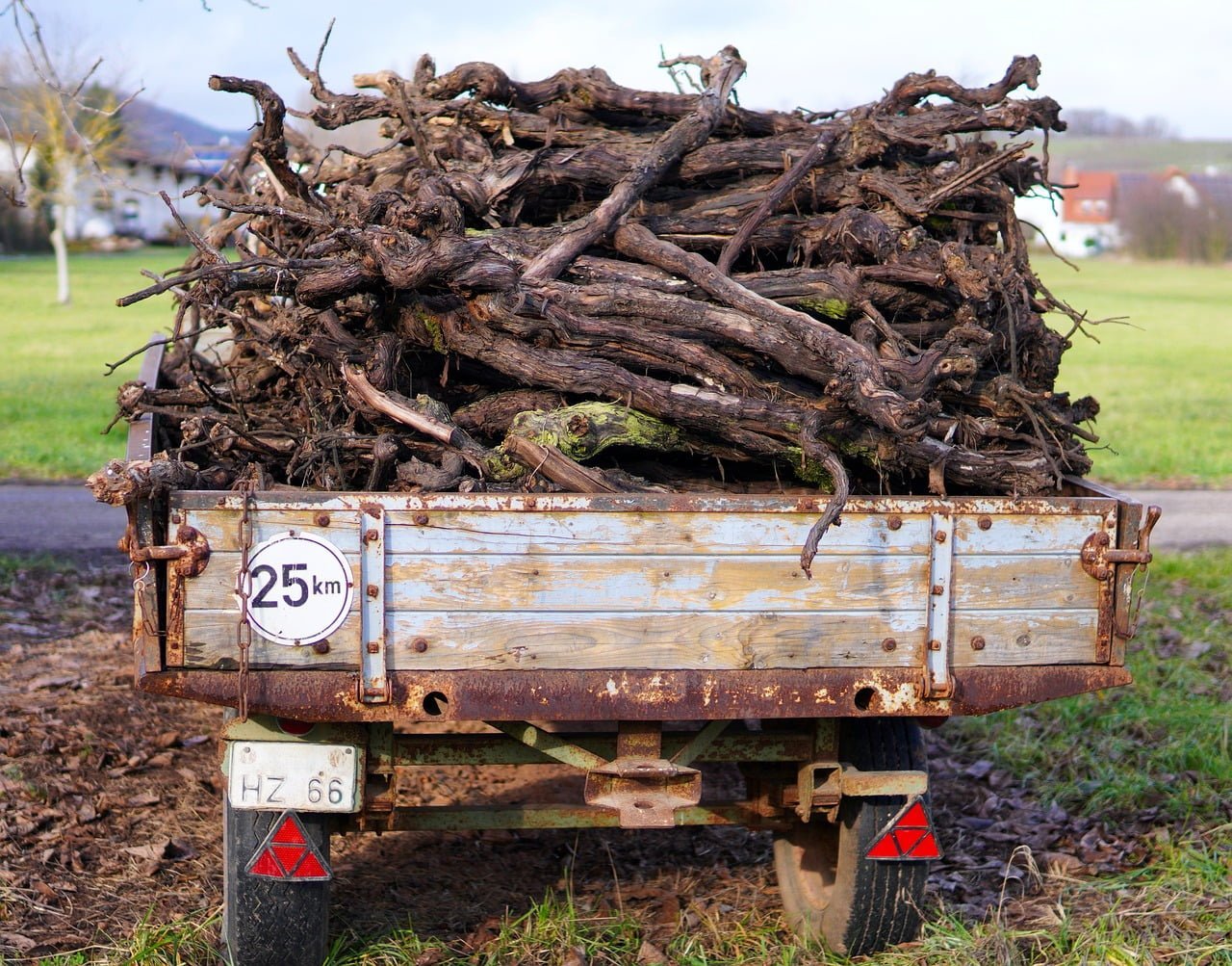 Условна присъда за 36-годишен, извозвал незаконно дървесина от горския фонд край Варна