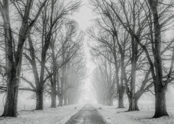 Ето кои населени места във Варненска област са без електричество към този час!