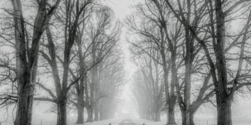 Ето кои населени места във Варненска област са без електричество към този час!