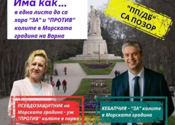 Как на избори обичат и разлюбват Стела Николова от ДБ