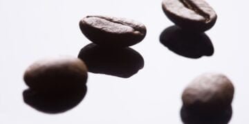 Съвети как да станете експерт по кафеените зърна