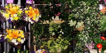 Предстои реконструкция на пазар “Чаталджа”, търсят решение за цветята, превзели тротоара (ВИДЕО)