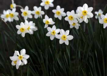 НИМХ: Валежите в страната спират, температурите леко се покачват