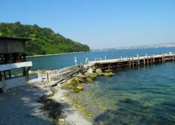 Няма данни за замърсяване на българската акватория на Черно море