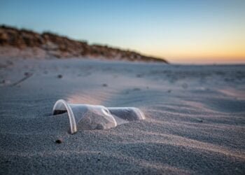 Експерт: За да се справим със замърсяването на плажовете и морето е необходимо хората да осъзнаят сериозността на проблема!