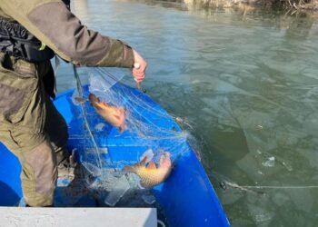 Животните от зоопарка във Варна ще похапват риба, конфискувана от бракониери