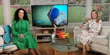 Специалистите съветват: Най-ниска цена не означава най-изгодна