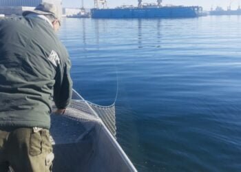 Наглост! Рибари преградиха с мрежи устието на река Девненска 