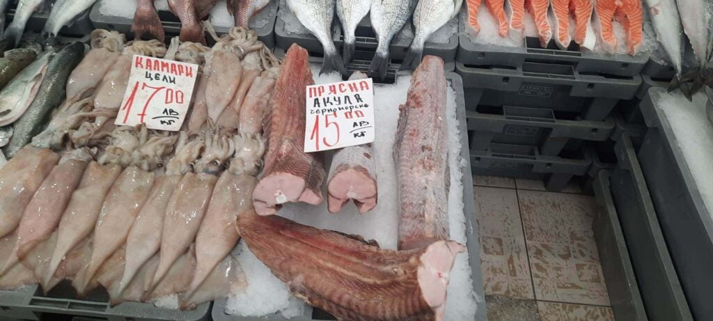 Варненски рибари: Морето ни се изпразва от година на година заради безразборното тралене за калкан и рапани