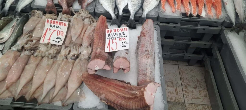 Варненски рибари: Морето ни се изпразва от година на година заради безразборното тралене за калкан и рапани