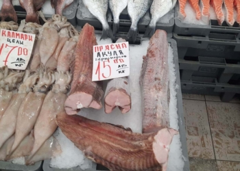 Варненски рибари: Морето ни се изпразва от година на година заради безразборното тралене за калкан и рапани