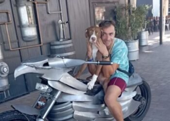 Тодор е щастлив, стана “дядо”! Мая го дари с 8 кученца и всички имат осиновители!