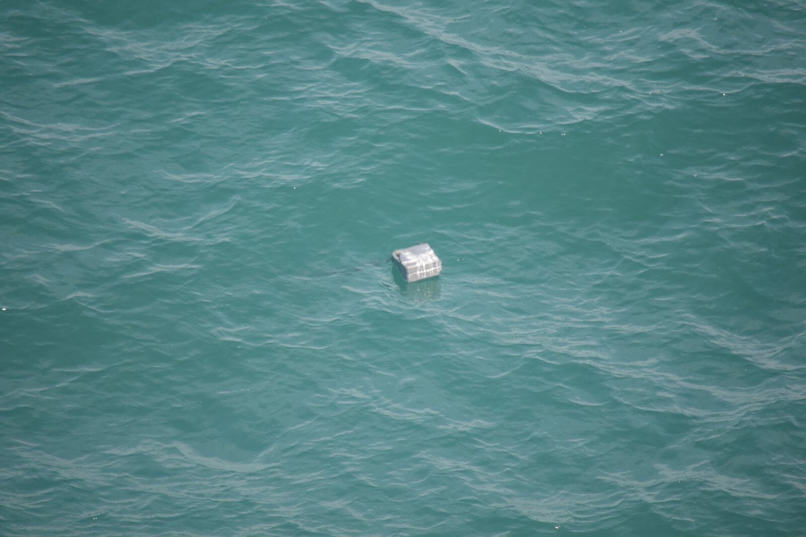 Военноморските сили реагираха на сигнал за морска мина в близост до устието на р. Камчия