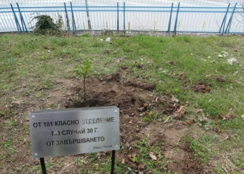 Випуск ’93 засади захарен явор в парка на Морско училище