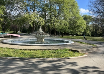 До 24 май трябва да приключи зацветяването в централната градска част на Варна