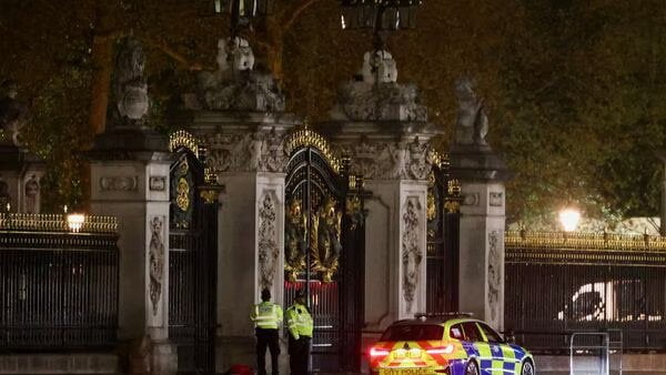 Лондонската полиция арестува мъж пред Бъкингамския дворец